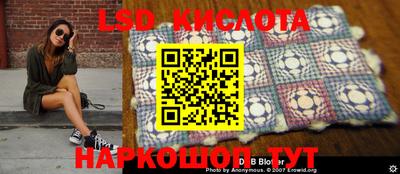 PSILOCYBIN Заводоуковск