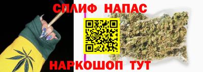 гидра Заволжье
