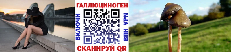 mega ССЫЛКА  Черняховск  Псилоцибиновые грибы Magic Shrooms 