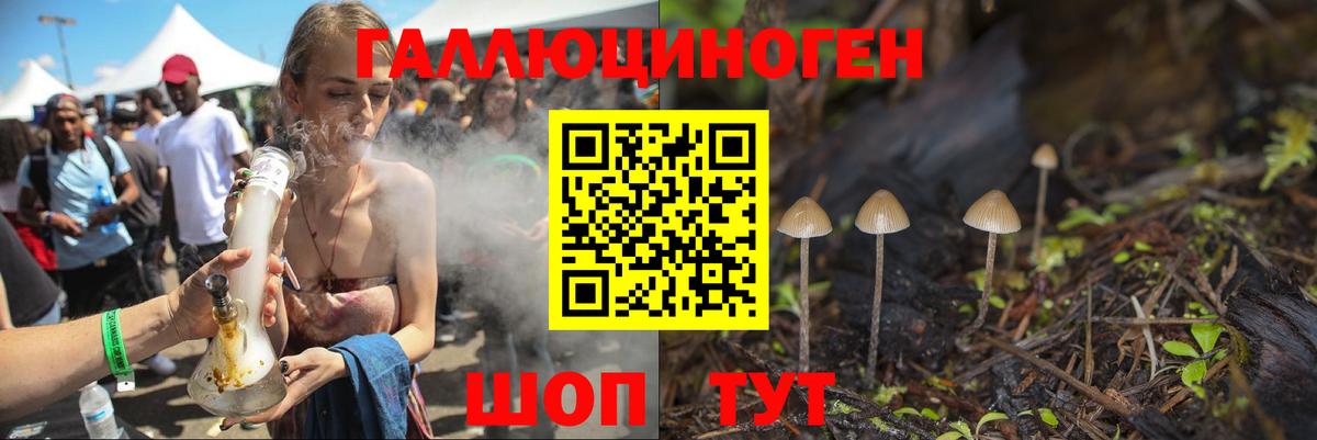 Черняховск  Псилоцибиновые грибы MAGIC MUSHROOMS  Вход с VPN 
