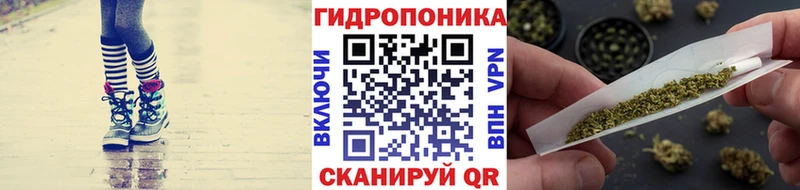 где можно купить наркотик Черняховск Шишки марихуана ГИДРОПОН